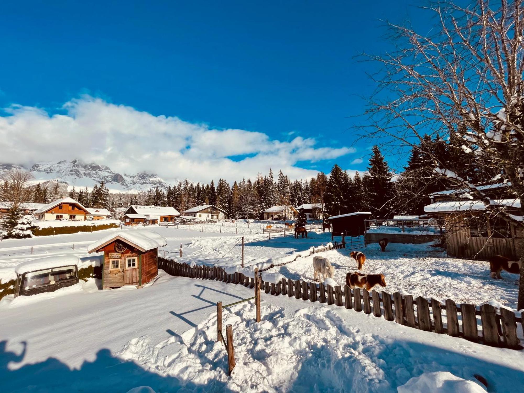 Pension Vorberghof- Bauernhofurlaub รัมเซา อัม ดาคชไตน์ ภายนอก รูปภาพ